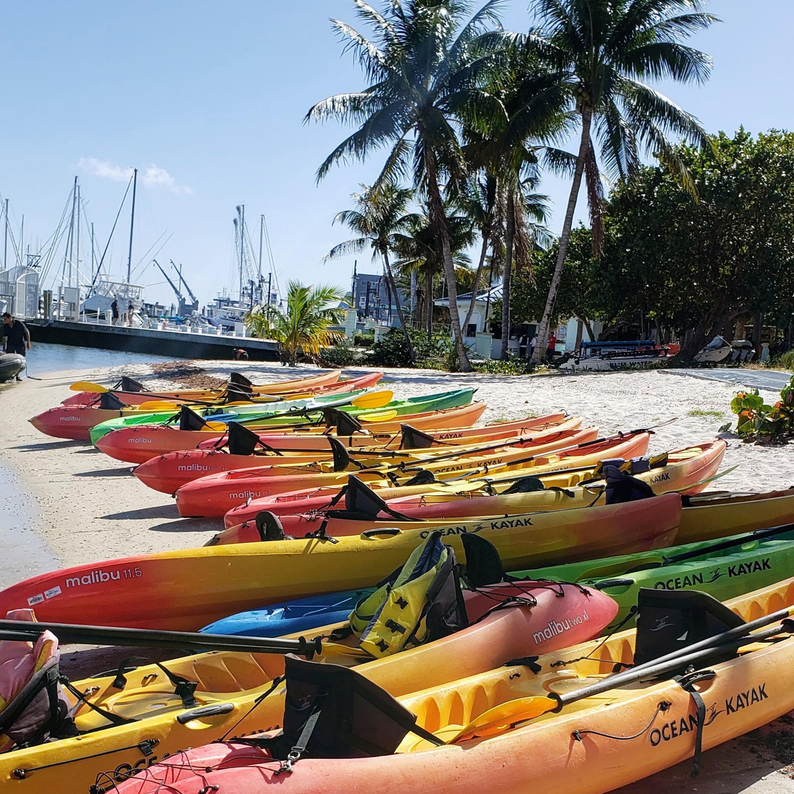 kayaks on a beach