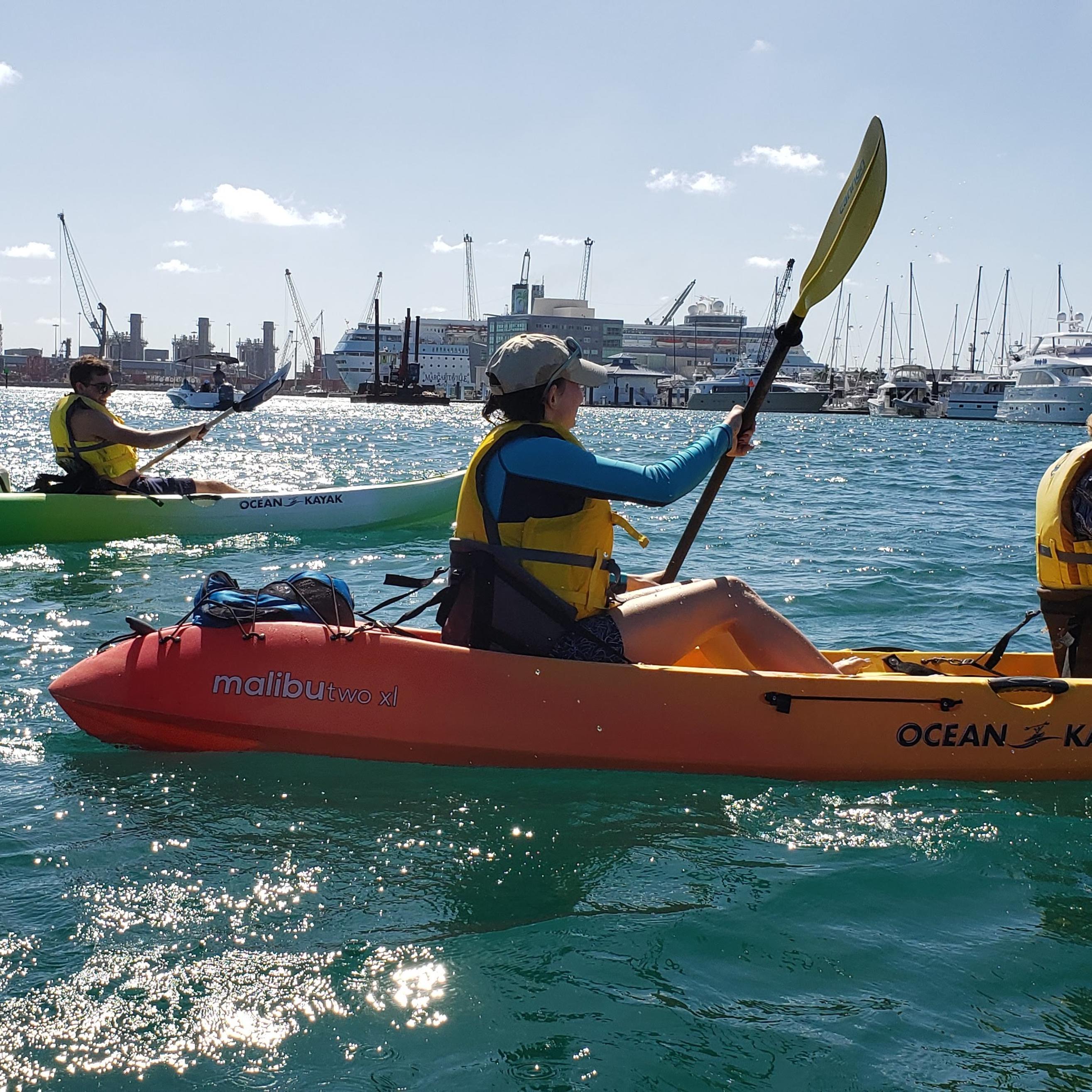 a group kayaks across the bay