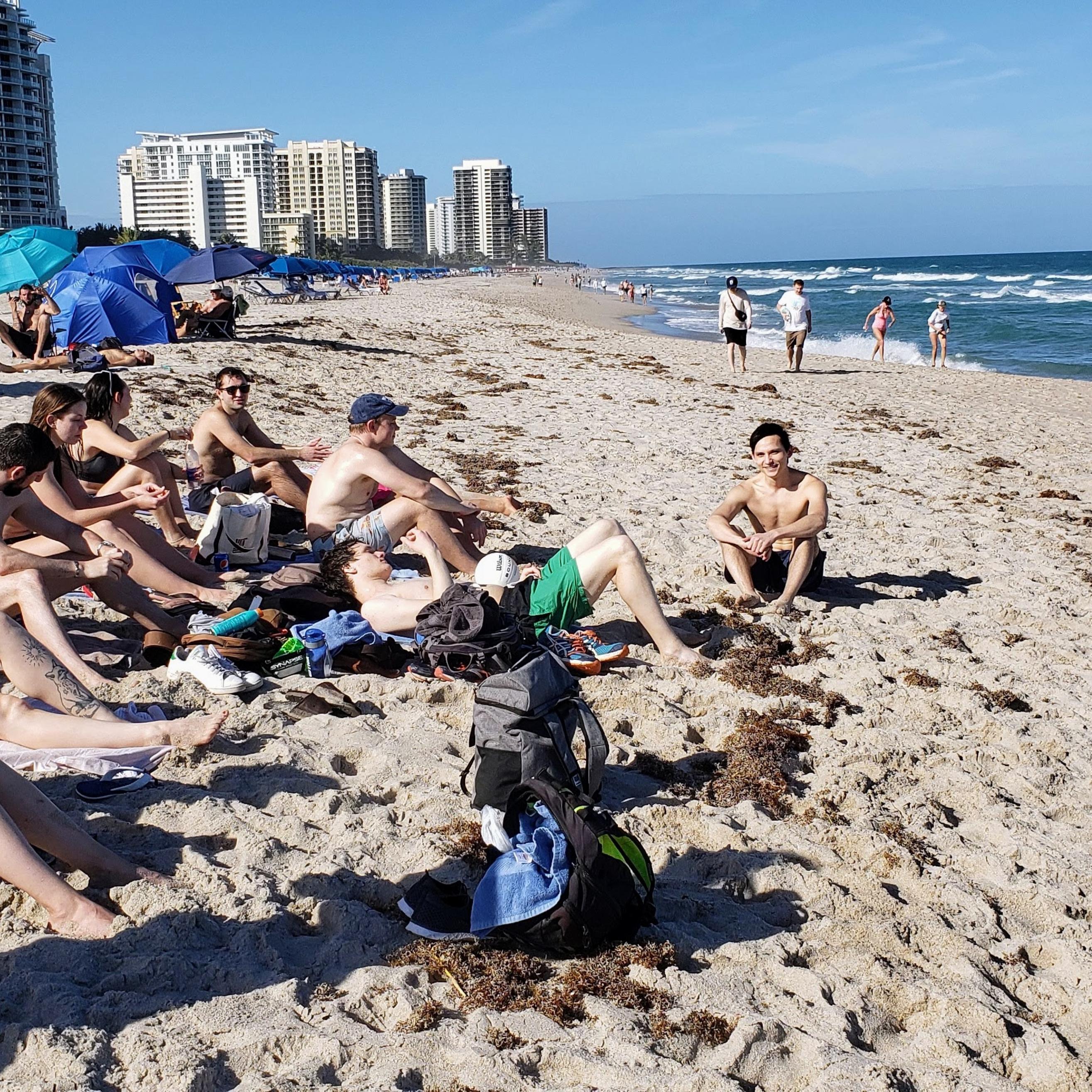 lab hanging out together on the beach