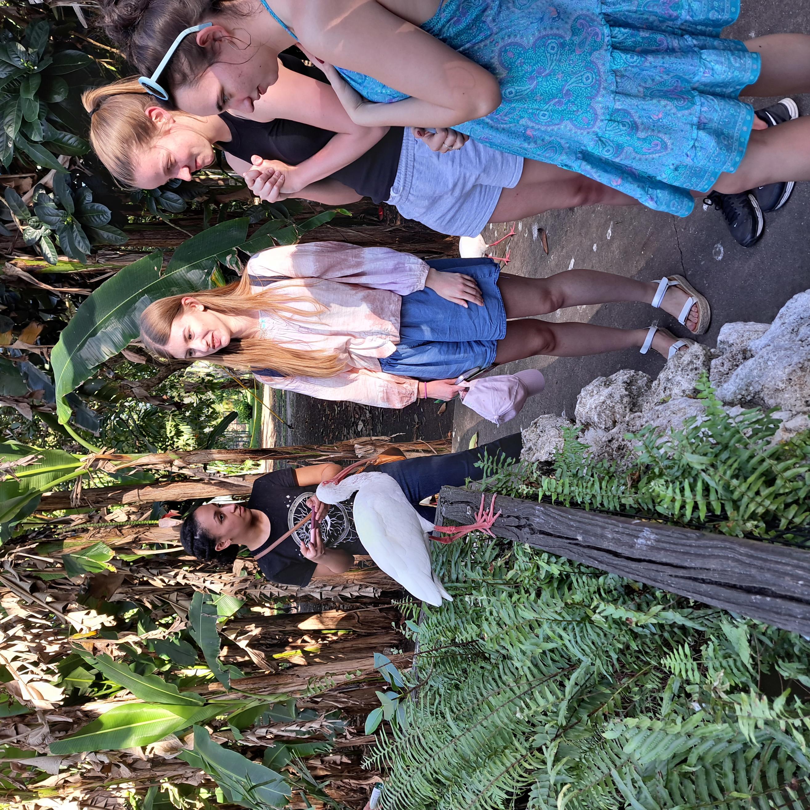 group looking at a bird on a barrier